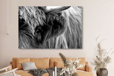 Leinwandbilder - 150x100 cm - Scottish Highlander - Auge - Schwarz - Weiß
