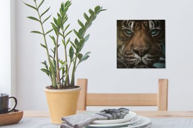 Leinwandbilder - 20x20 cm - Dschungel - Tiger - Wilde Tiere (Gr. 20x20 cm)