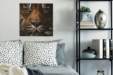 Leinwandbilder - 50x50 cm - Tiere - Tiger - Wild (Gr. 50x50 cm)