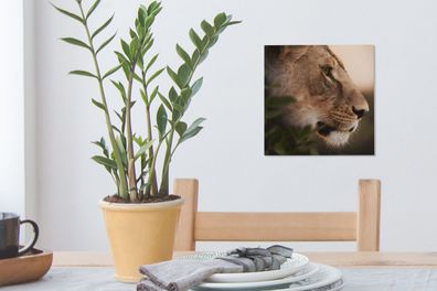 Leinwandbilder - 20x20 cm - Löwe - Wilde Tiere - Dschungel (Gr. 20x20 cm)