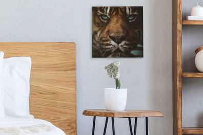 Leinwandbilder - 20x20 cm - Tiere - Tiger - Wild (Gr. 20x20 cm)