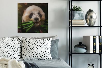 Leinwandbilder - 50x50 cm - Tiere - Panda - Dschungel (Gr. 50x50 cm)