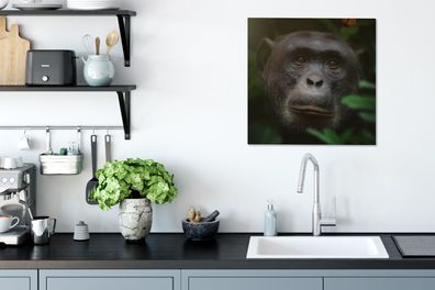 Leinwandbilder - 50x50 cm - Tiere - Affe - Dschungel (Gr. 50x50 cm)