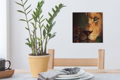 Leinwandbilder - 20x20 cm - Pflanzen - Dschungel - Löwe (Gr. 20x20 cm)