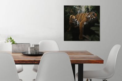Leinwandbilder - 50x50 cm - Tiere - Tiger - Dschungel (Gr. 50x50 cm)