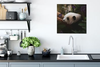Leinwandbilder - 50x50 cm - Tiere - Dschungel - Panda (Gr. 50x50 cm)