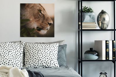 Leinwandbilder - 50x50 cm - Löwe - Wilde Tiere - Dschungel (Gr. 50x50 cm)