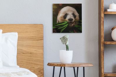 Leinwandbilder - 20x20 cm - Tiere - Panda - Dschungel (Gr. 20x20 cm)