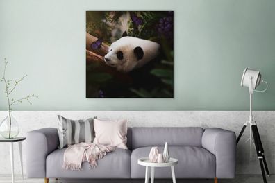 Leinwandbilder - 90x90 cm - Tiere - Dschungel - Panda (Gr. 90x90 cm)