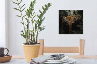 Leinwandbilder - 20x20 cm - Tiere - Tiger - Dschungel (Gr. 20x20 cm)