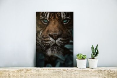 Glasbilder - 20x30 cm - Tiger - Pflanzen - Dschungel (Gr. 20x30 cm)