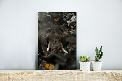 Glasbilder - 20x30 cm - Elefant - Schmetterling - Dschungel (Gr. 20x30 cm)