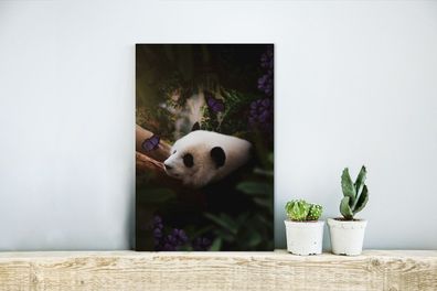 Glasbilder - 20x30 cm - Panda - Dschungel - Schmetterling - Lila (Gr. 20x30 cm)