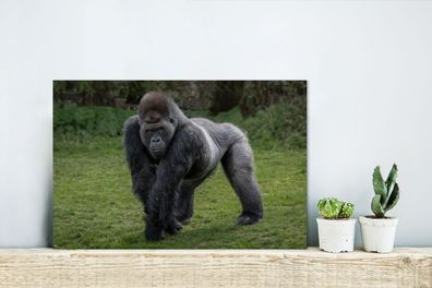 Glasbilder - 30x20 cm - Ein Gorilla geht auf seinen Händen und Beinen (Gr. 30x20 cm)