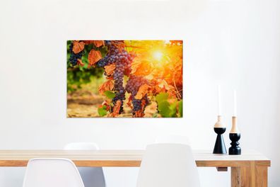 Leinwandbilder - 90x60 cm - Licht - Trauben - Weinberg (Gr. 90x60 cm)