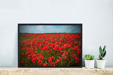 Poster - 60x40 cm - Eine Wiese voller Mohnblumen (Gr. 60x40 cm)