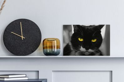 Leinwandbilder - 30x20 cm - Schwarz-Weiß-Foto des Kopfes einer schwarzen Katze mit ge