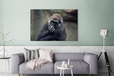 Leinwandbilder - 140x90 cm - Niedlicher Gorilla kratzt sich an der Nase