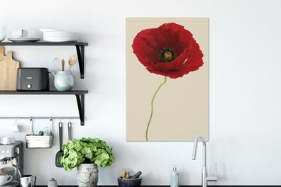 Leinwandbilder - 40x60 cm - Nahaufnahme einer roten Mohnblume (Gr. 40x60 cm)