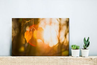 Leinwandbilder - 30x20 cm - Makro - Blatt - Sonne (Gr. 30x20 cm)