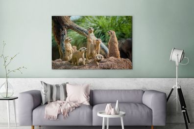Leinwandbilder - 140x90 cm - Erdmännchen - Familie - Tiere (Gr. 140x90 cm)