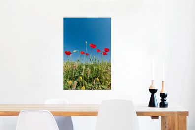 Glasbilder - 60x90 cm - Rote Mohnblumen unter einem strahlend blauen Himmel in der Tü
