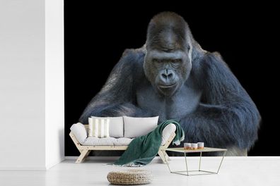 Fototapete - 360x260 cm - Ein Gorilla schaut eindrucksvoll in die Kamera