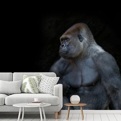 Fototapete - 265x240 cm - Ein muskulöser Gorilla auf schwarzem Hintergrund