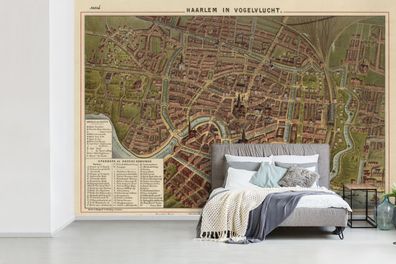 Fototapete - 330x220 cm - Karte - Antiquitäten - Haarlem (Gr. 330x220 cm)