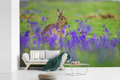 Fototapete - 600x400 cm - Verschwommene Sternhyazinthen mit einem Kaninchen in der Mi