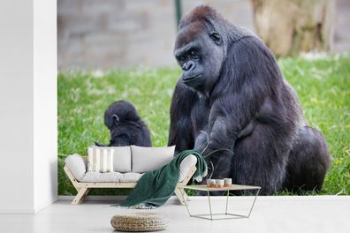 Fototapete - 330x220 cm - Ein großer Gorilla mit seinem Baby (Gr. 330x220 cm)