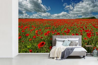 Fototapete - 330x220 cm - Weiße Wolken über einem Feld von Mohnblumen
