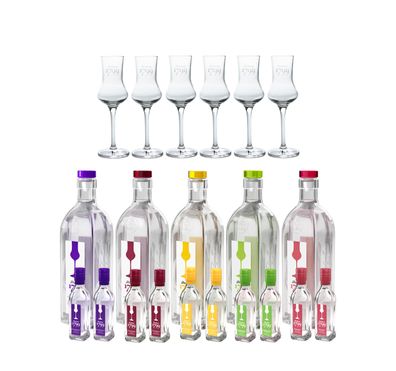 Sutterer 1799 Angebot 5x verschiedene Sorten Obstbrand je 0,5L + 10 Miniaturen