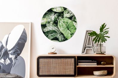 Wandbild Rund Wanddeko Deko Wohnzimmer Bilder 60x60 cm Bladeren - Planten - Natuur