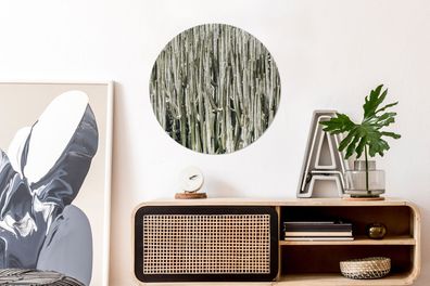 Wandbild Rund Wanddeko Deko Wohnzimmer Bilder 60x60 cm Cactus - Natuur - Vetplanten