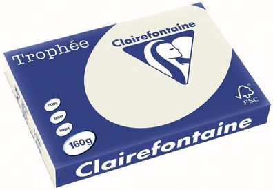 Clairefontaine Trophee Papier 1065C Grau 160g/ m² DIN-A3 - 250 Blatt