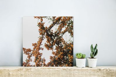 Glasbild Glasfoto Wandbild Bilder Deko 20x20 cm Bloemen - Takken - Natuur