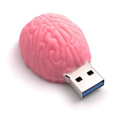 Gehirn Hirn Denkvermögen rosa USB Stick Flash Drive 8GB 16GB 32GB 64GB 128GB