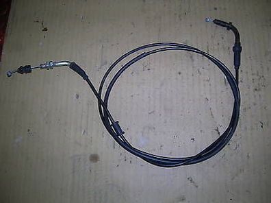 Giantco Venus Gaszug