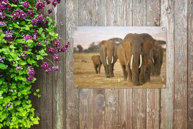 Gartenposter - 60x40 cm - Familie der Elefanten (Gr. 60x40 cm)
