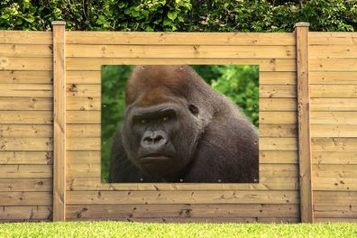 Gartenposter - 160x120 cm - Nahaufnahme des Gesichts eines männlichen Gorillas