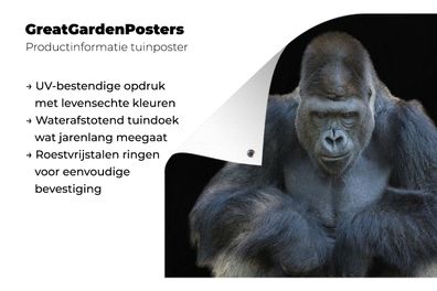 Gartenposter - 160x120 cm - Ein Gorilla schaut eindrucksvoll in die Kamera