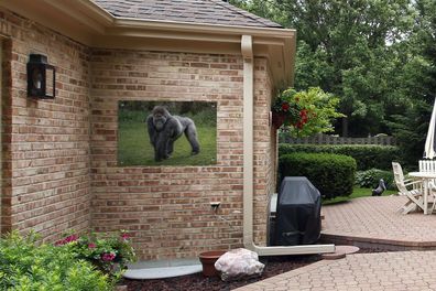 Gartenposter - 90x60 cm - Ein Gorilla geht auf seinen Händen und Beinen