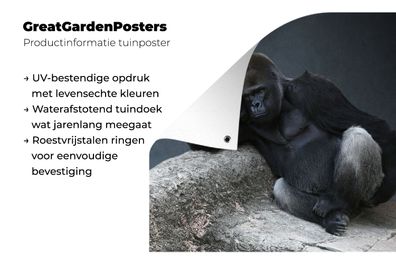 Gartenposter - 160x120 cm - Gorilla entspannt auf einem Felsen (Gr. 160x120 cm)