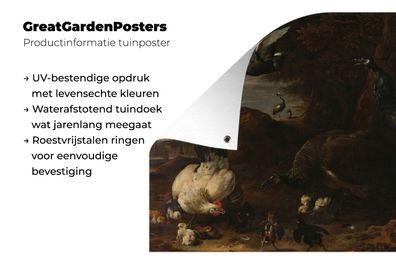 Gartenposter - 200x200 cm - Eine Henne mit Küken, bedroht von zwei Pfauen - Melchior