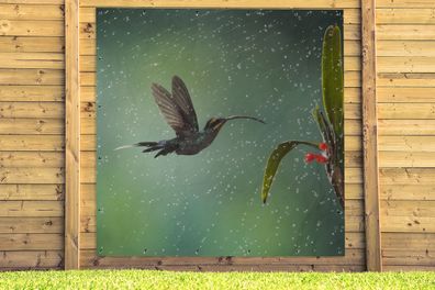 Gartenposter - 200x200 cm - Kolibri im Regen in der Natur von Costa Rica