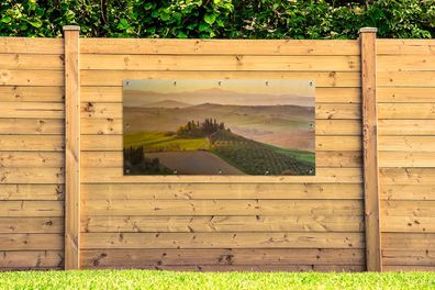 Gartenposter - 200x100 cm - Italien - Weinberg - Olivengarten (Gr. 200x100 cm)