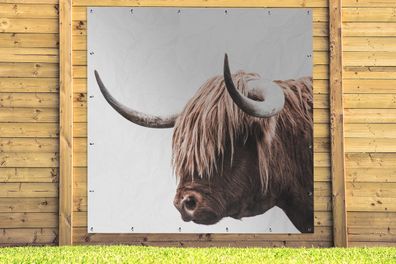 Gartenposter - 200x200 cm - Schottischer Highlander - Hörner (Gr. 200x200 cm)