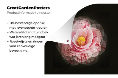 Gartenposter - 200x200 cm - Blume - Kamelie - Rosa (Gr. 200x200 cm)