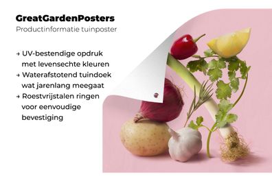 Gartenposter - 200x200 cm - Lebensmittel - Gemüse - Rosa (Gr. 200x200 cm)